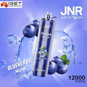 JNR SHISHA HOOKAH – BLUEBERRY MINT – 12000 PUFFS