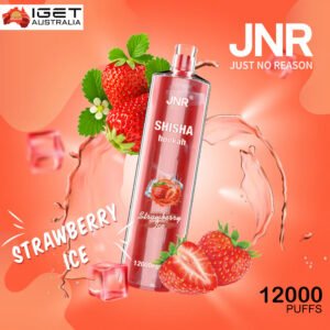 JNR SHISHA HOOKAH WATERMELON ICE – 12000 PUFFS