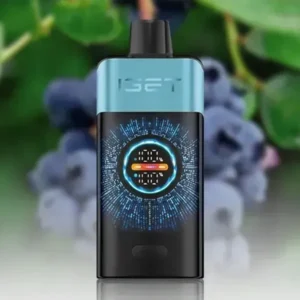 IGET One 12000 Puffs Blue Monster
