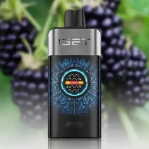 IGET One 12000 Puffs Blackberry Ice