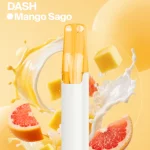SnowPlus Dash 4000-Mango Sago - Image 3